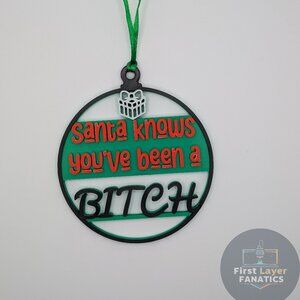 Santa Knows You've Been A B$#@!